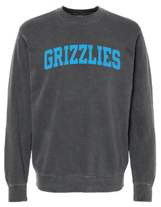 Grizzly Basketball PUFF